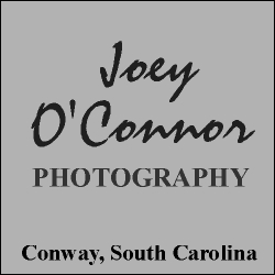 Joey OConnor Photography - will open new window